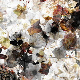 Paperbrown Petals
